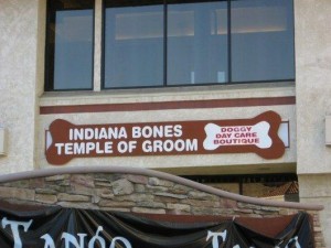 Naamgeving Indiana Bones
